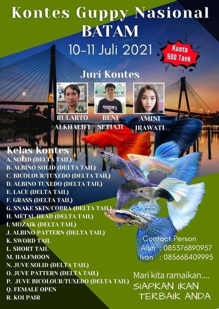Kontes_Guppy_Nasional_Batam.jpeg