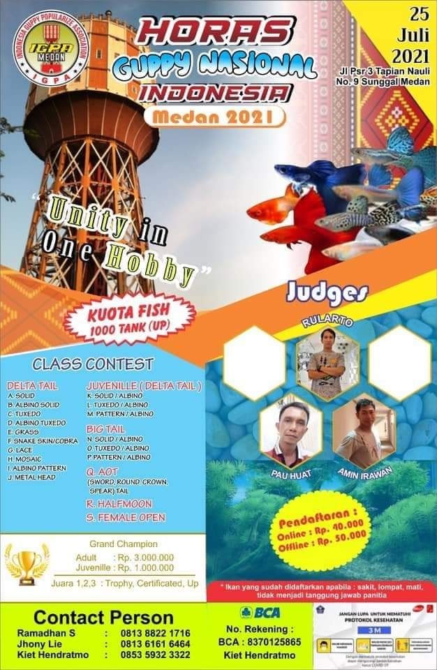 Kontes_Guppy_Nasional_Medan.jpeg