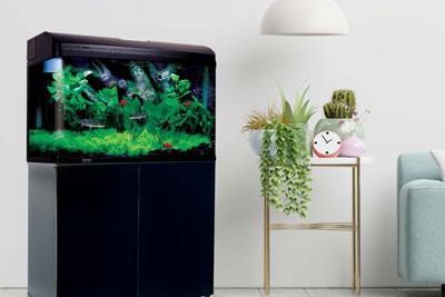 Rekomendasi-Aquarium-Ikan-Hias-Terbaik-1.jpg