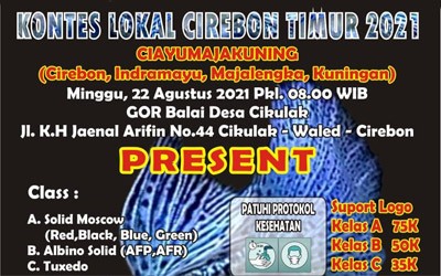 kontes-cirebon-01.jpeg