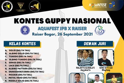 kontes-guppy-bogor-01.jpeg