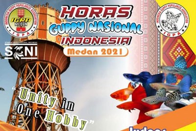 kontes-medan-2021-01.jpeg