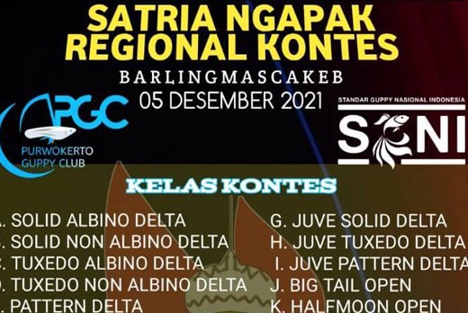 satria-ngapak-1.jpg
